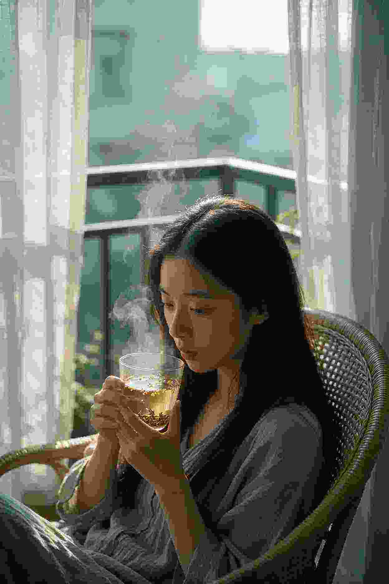 夏日萌宠日记